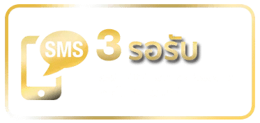 รอรับทุกระบบ