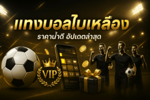 แทงบอลใบเหลือง